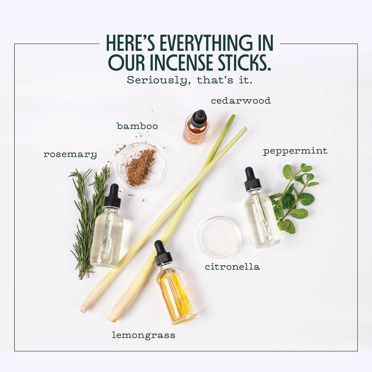 Murphy's Naturals | Mosquito Repellent Incense Sticks
