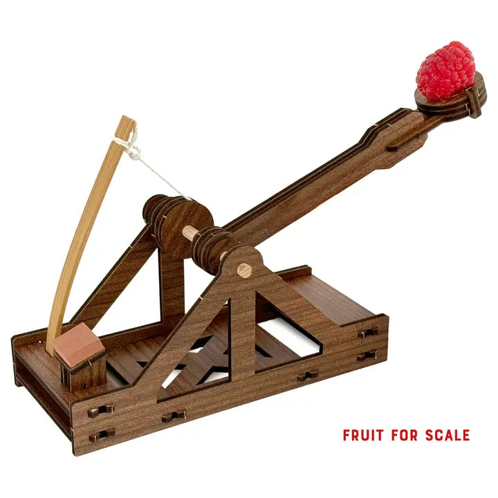 Mini Catapult Wooden Model Building Kit