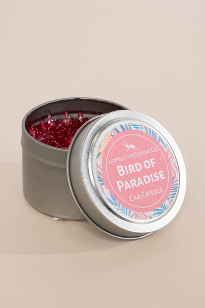 Leafcutter Candle Co | Car Candle
