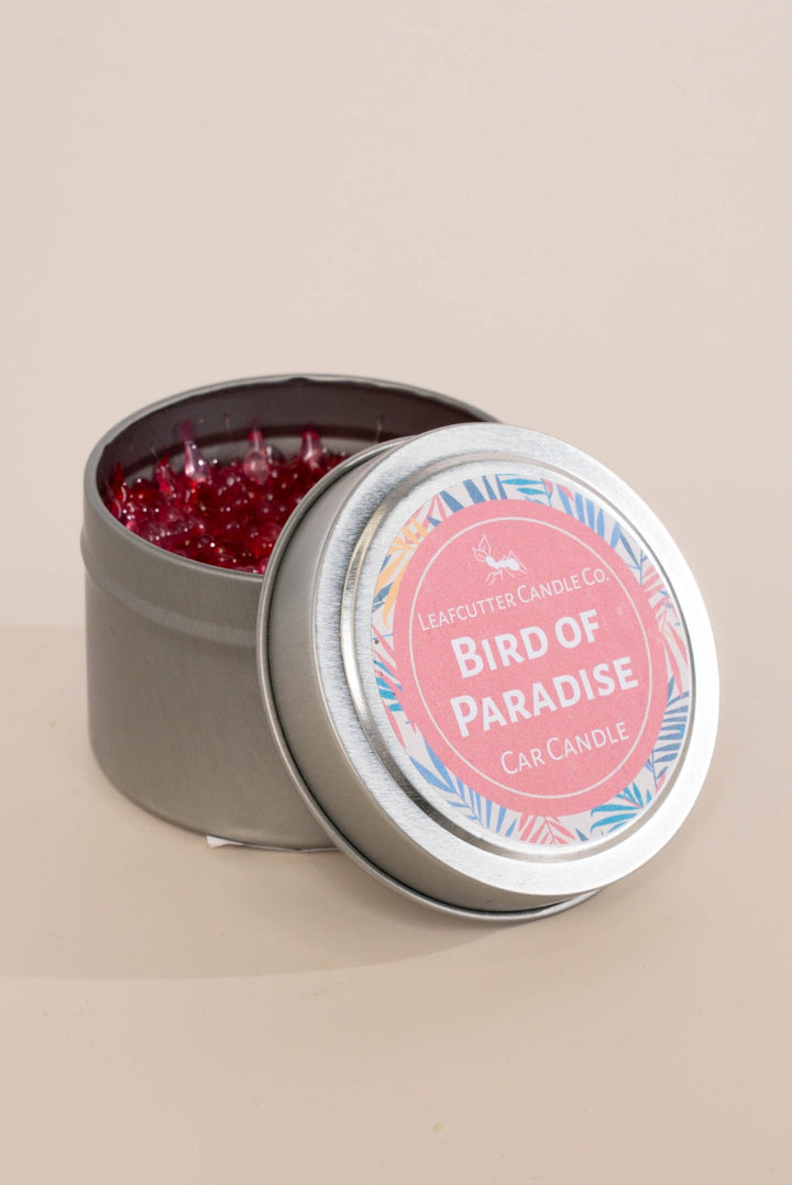 Leafcutter Candle Co | Car Candle
