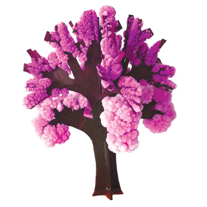 Crystal Growing Kit