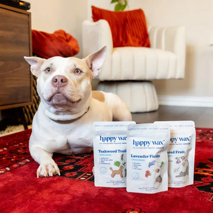 Happy Wax | Odor Eliminator Wax Melts for Pets