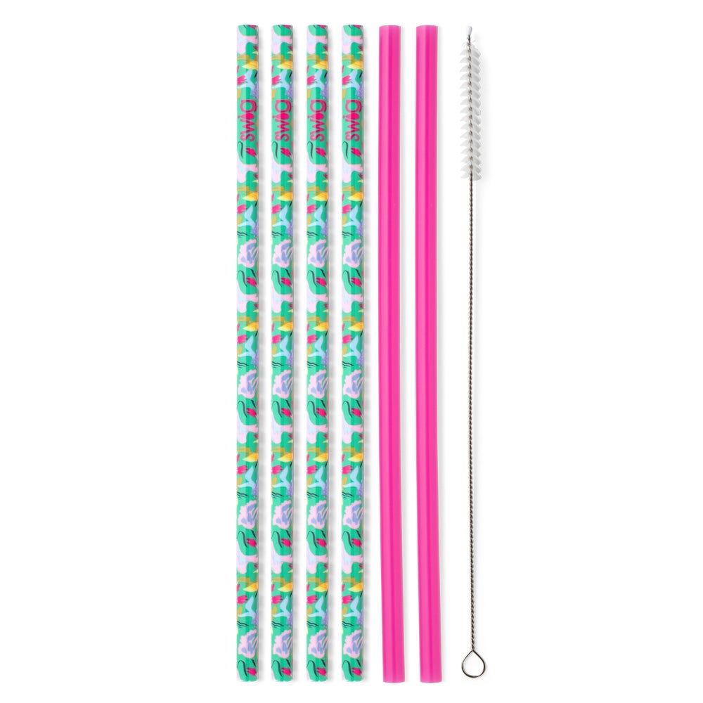 Swig Reusable Straws + Brush Set